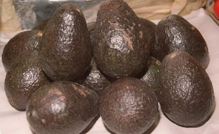 Hallan casi una tonelada de cocaína entre aguacates