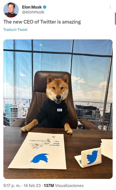 Elon Musk presenta al perro del Dogecoin como nuevo logo de Twitter