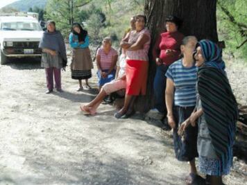 Llaman a sensibilizar al sistema de justicia