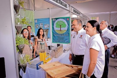 Pide RLV cuidar medio ambiente