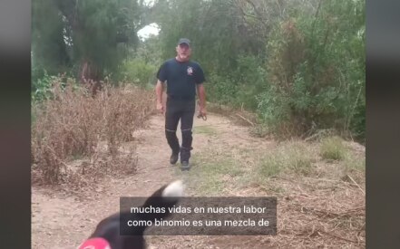 Zorro se jubila; el lomito dedicó 8 años al rescate de personas en México 