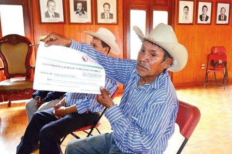 Pagan a ejidatarios de Pinal por cuidar sus bosques