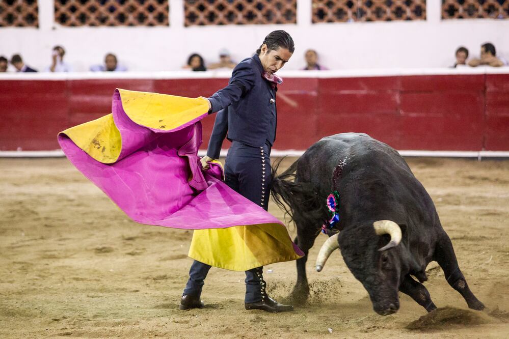 La ganadería Los Encinos  se estrenó en el evento con cuatro toros y dos novillos