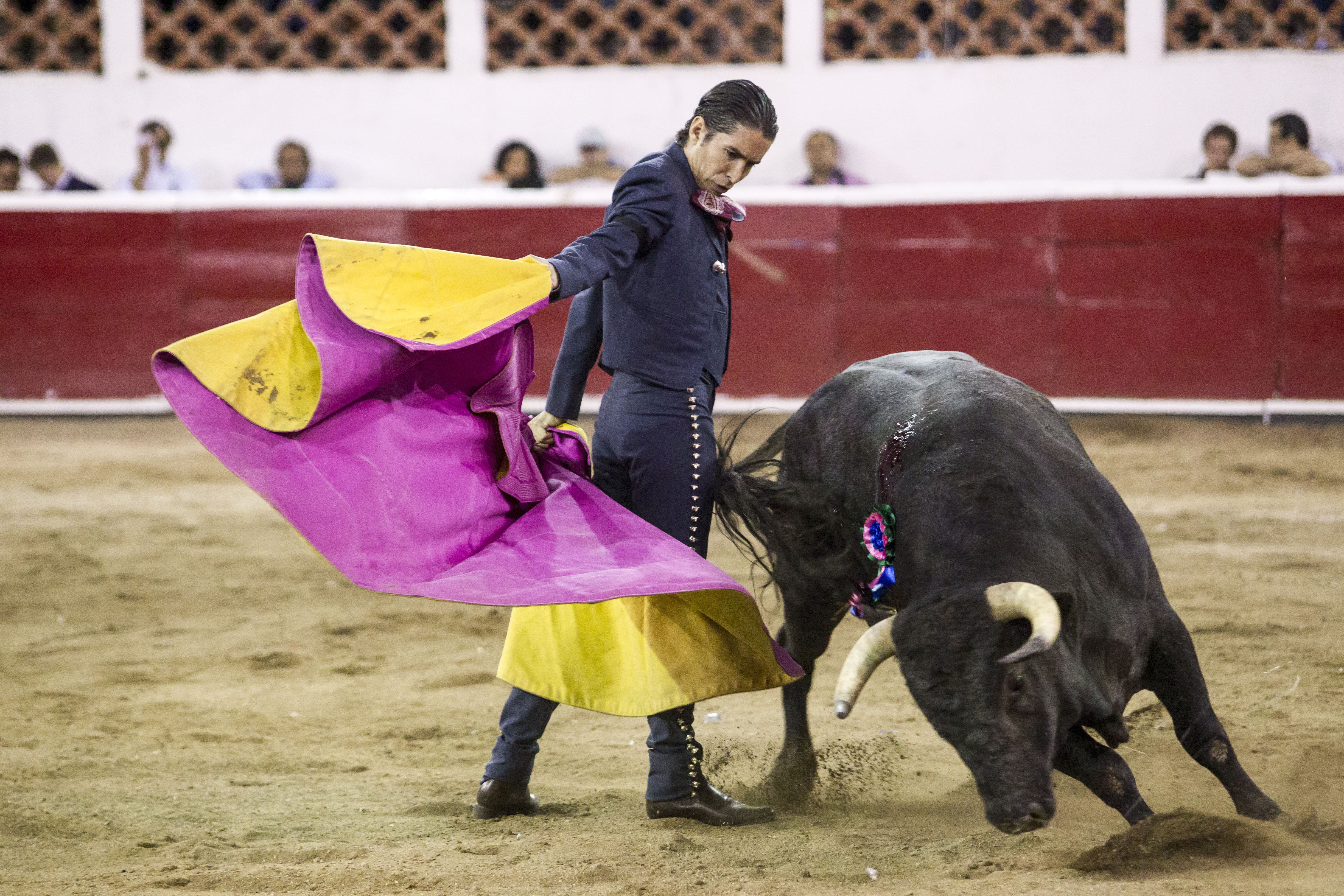 La ganadería Los Encinos  se estrenó en el evento con cuatro toros y dos novillos