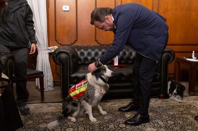 Gobernador de Querétaro entrega medalla a Balam y Orly