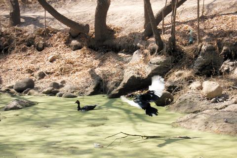 Urge atender río de Tequis: Cabrera