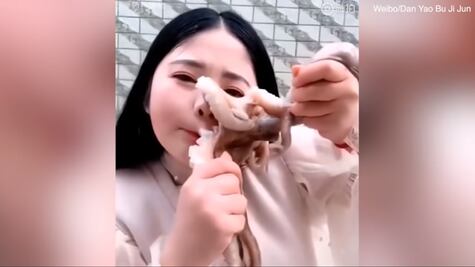 Pulpo ataca cuando intentaban comerlo vivo 