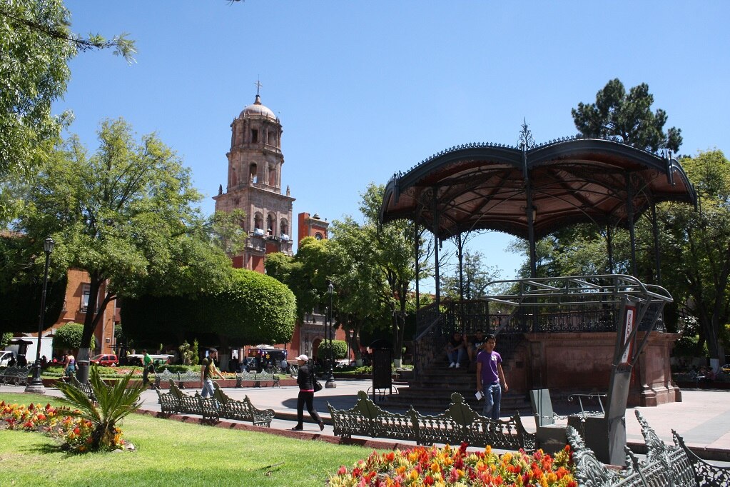 Acaban con más de 500 ratas en el Centro Histórico de Querétaro