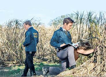 Se acerca la era del drama y detectives