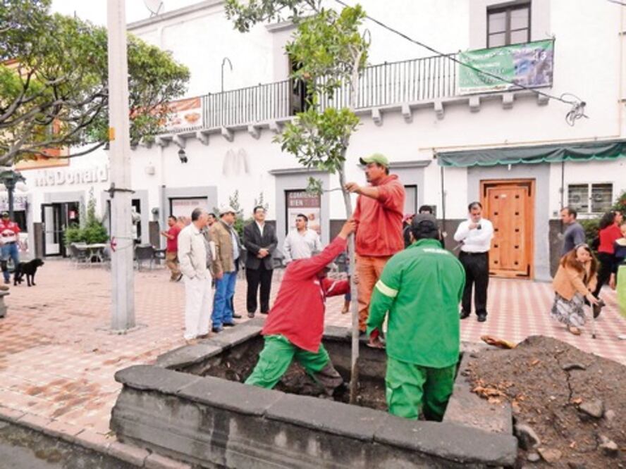 Cámara de Comercio dona árboles para el centro de SJR