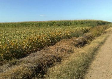 800 mdp para el campo queretano
