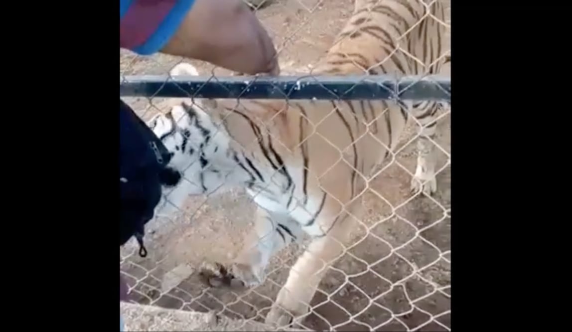 Foto: Captura de pantalla