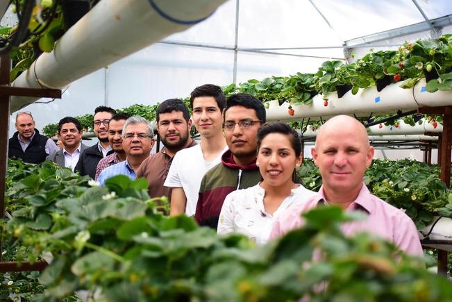 Estudiantes habilitan biofábrica de fresas