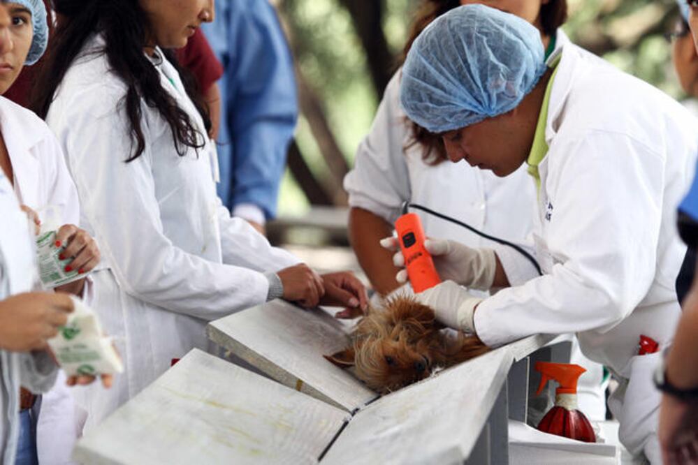 Foto: Archivo. El Universal