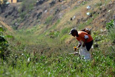 Suben agresiones sexuales en 2016