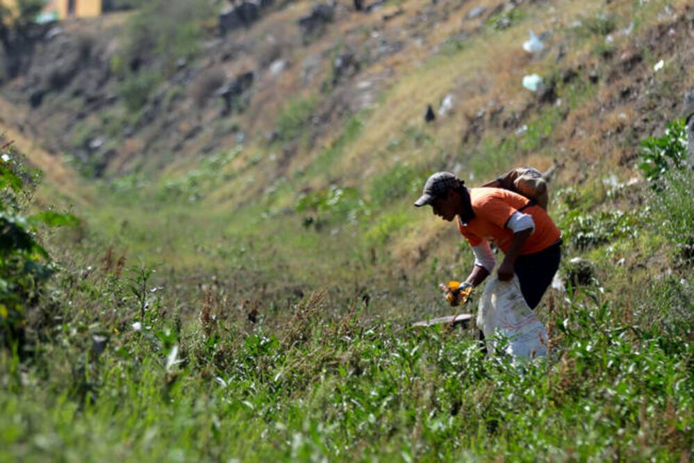 Durante el año pasado se tenía proyectado limpiar 40 mil predios baldíos y así evitar ese tipo de agresiones, pero sólo 800 ciudadanos cumplieron con la medida, aseguró el alcalde capitalino (ARCHIVO. EL UNIVERSAL)