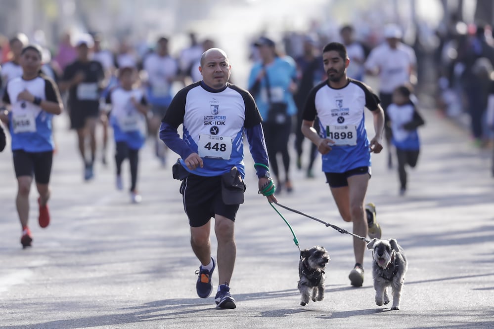 Foto: CESAR GÓMEZ. EL UNIVERSAL