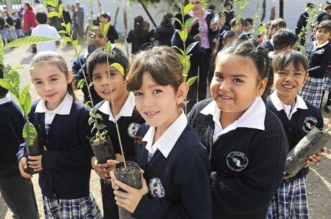 Convocan a cuidar el medio ambiente por medio del arte