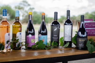 Lánzate a las vendimias de El Marqués... a unos 20 minutos del centro de Querétaro