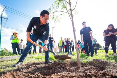 Reforestan camellón de Avenida del Jacal