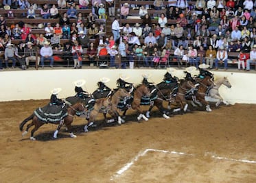 Reportan robo de 8 caballos de escaramuza