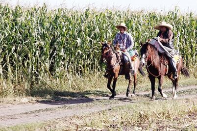 Prevé este año Sedea mejorar cosechas