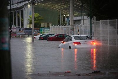 Culpa cronista a fundador