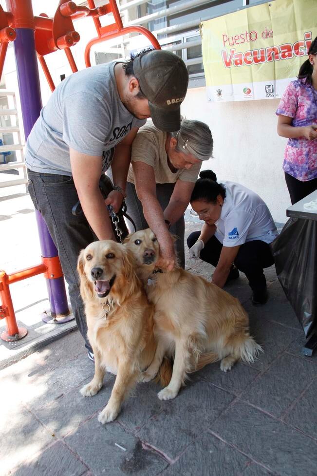 Foto: GUILLERMO GONZÁLEZ