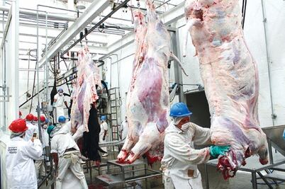 Ezequiel Montes destaca por ganadería