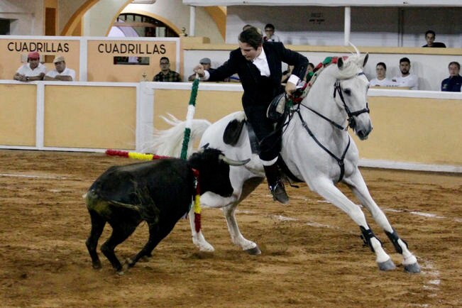 Dinastías, presentes en Provincia Juriquilla