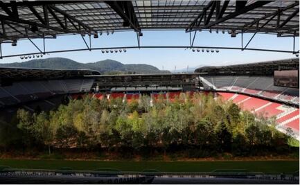 ¡Convierten estadio de futbol en un bosque!