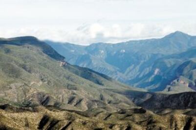 Protegen vegetación de Sierra Gorda