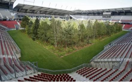¡Convierten estadio de futbol en un bosque!