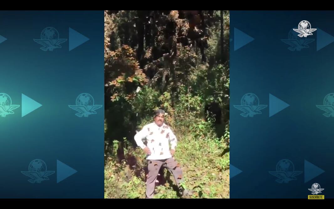 Foto: Captura de pantalla