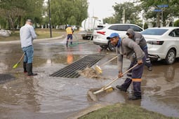 Caen 15 árboles tras tormentas en Corregidora