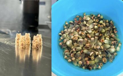 Universitarios elaboran "panditas" de guamiche