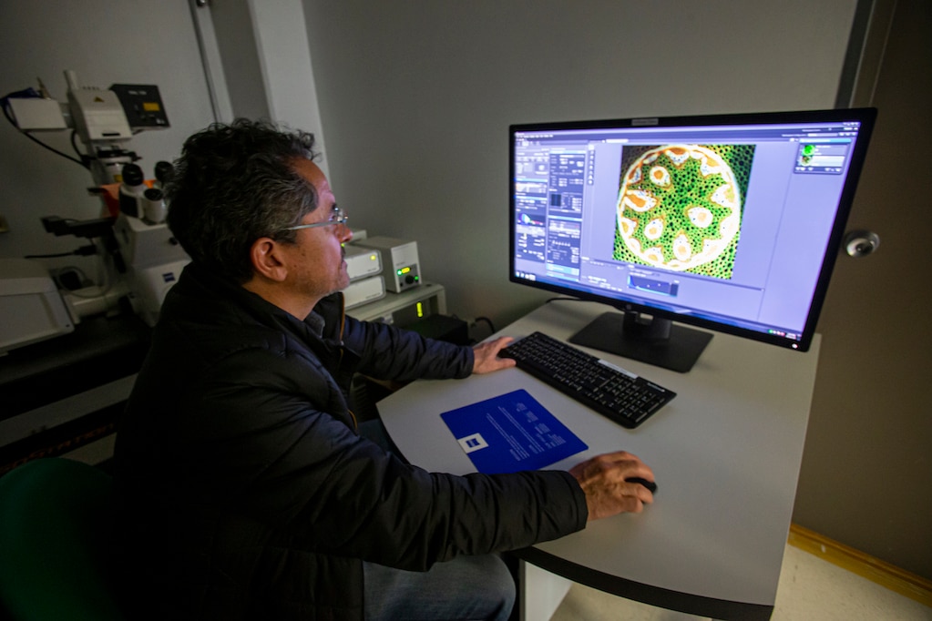 Desde Querétaro, estudian cómo la luz es capaz de mover la materia 