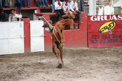Se reanuda circuito charro del Bajío