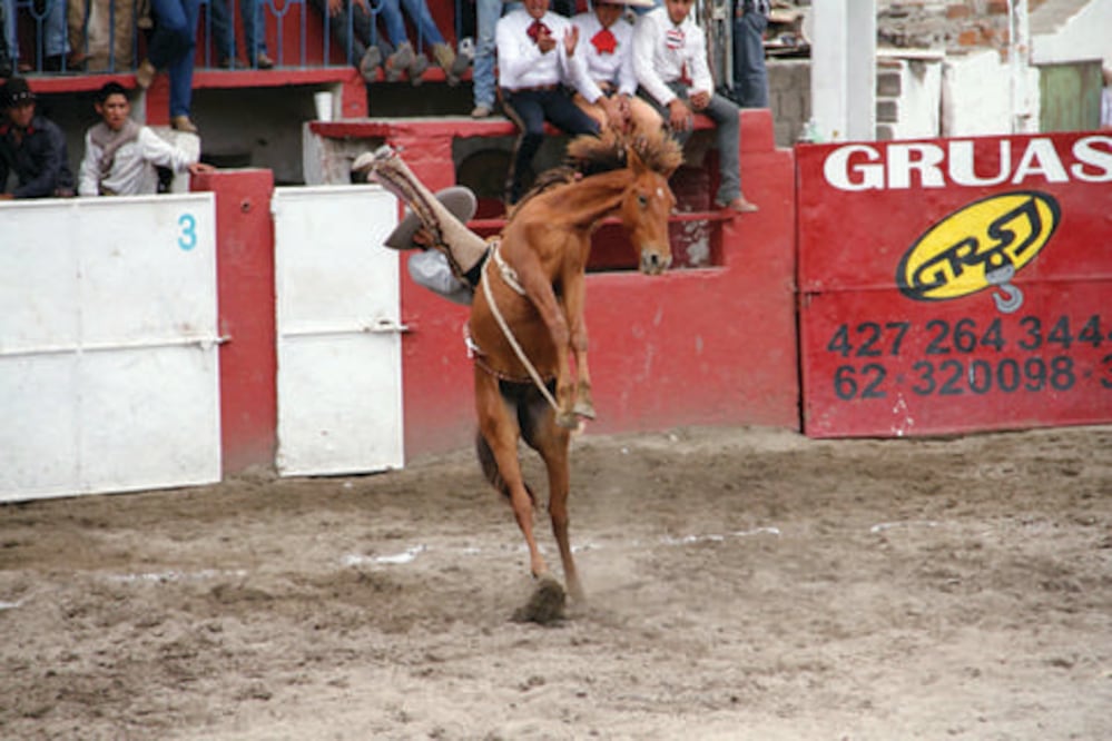 Se reanuda circuito charro del Bajío