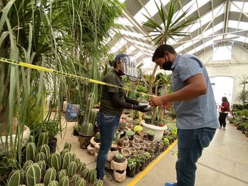 "Aunque las ventas son bajas, ya es ganancia trabajar"