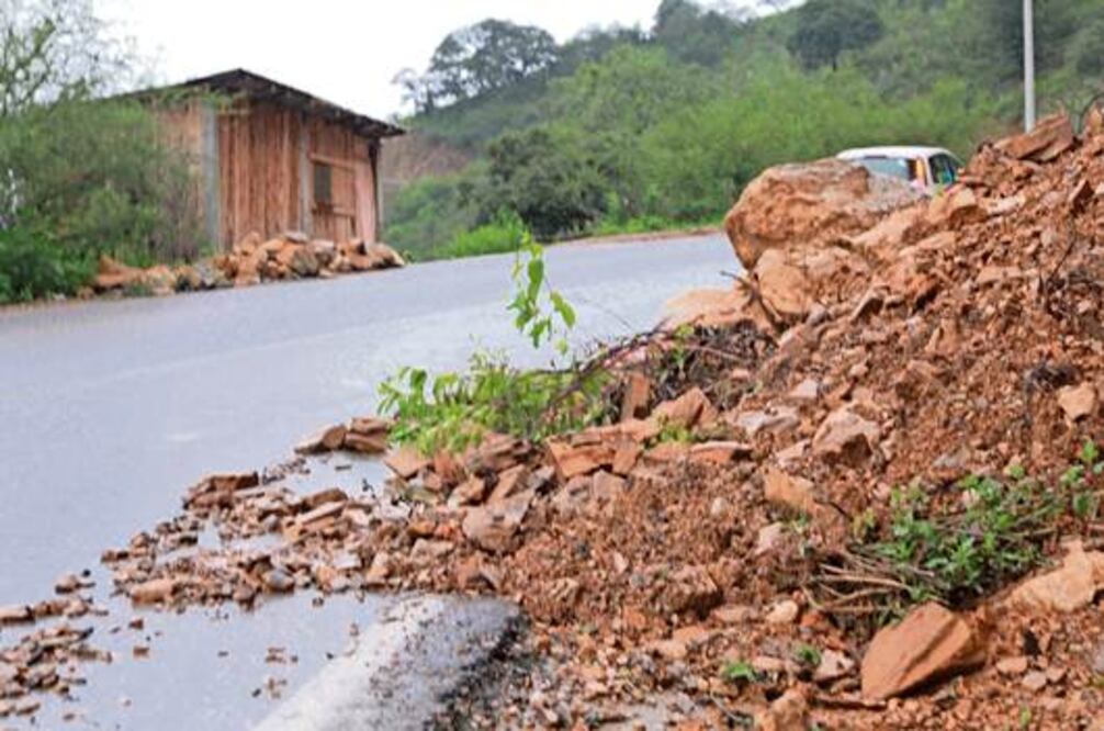 Avalan obligatoriedad en protección