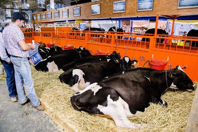 UNAM y UGR profesionalizarán a los ganaderos