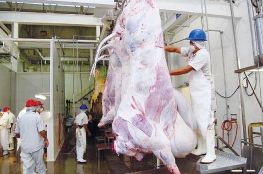 Quieren ampliar rastro municipal