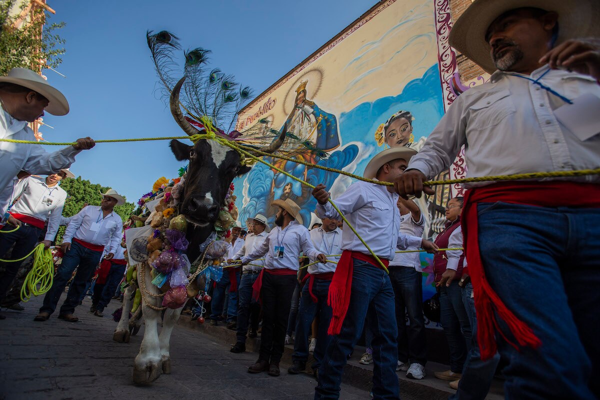 Corregidora tendrá escultura monumental del buey: Carboney