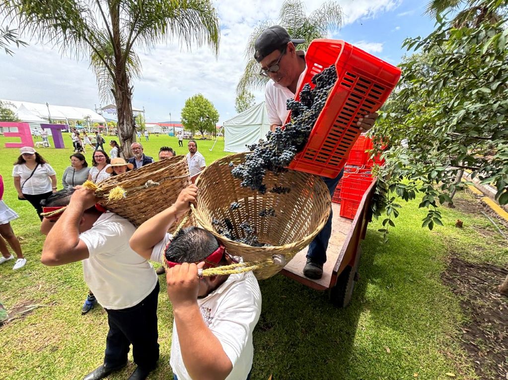 Se inauguró la onceava edición de vendimia vinícola en Tequisquiapan
