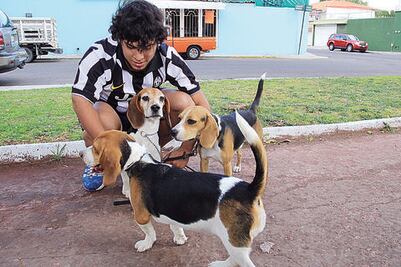 Advierten importancia de detectar alergias