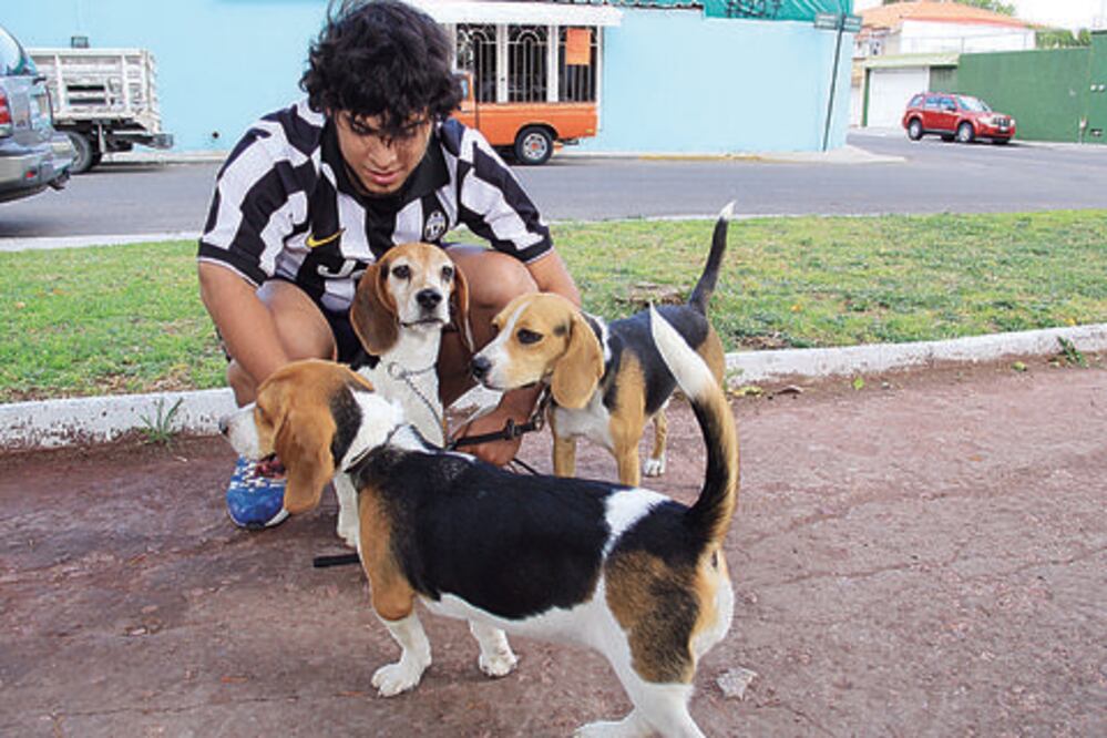 Advierten importancia de detectar alergias