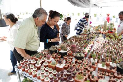 Aprenden del paisajismo