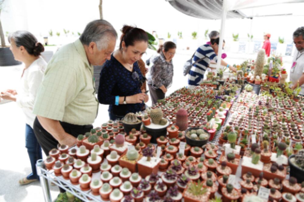 Aprenden del paisajismo