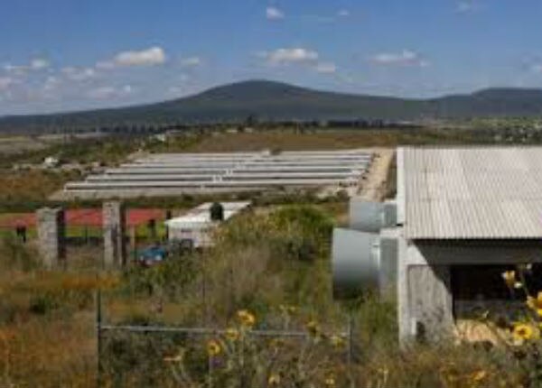 Se quejan de granjas avícolas en Huimilpan